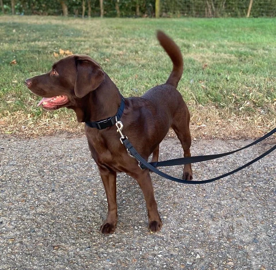 Police Style Dog Training Lead Black Double Ended Multi Functional Soft 25mm Uk_Supplier